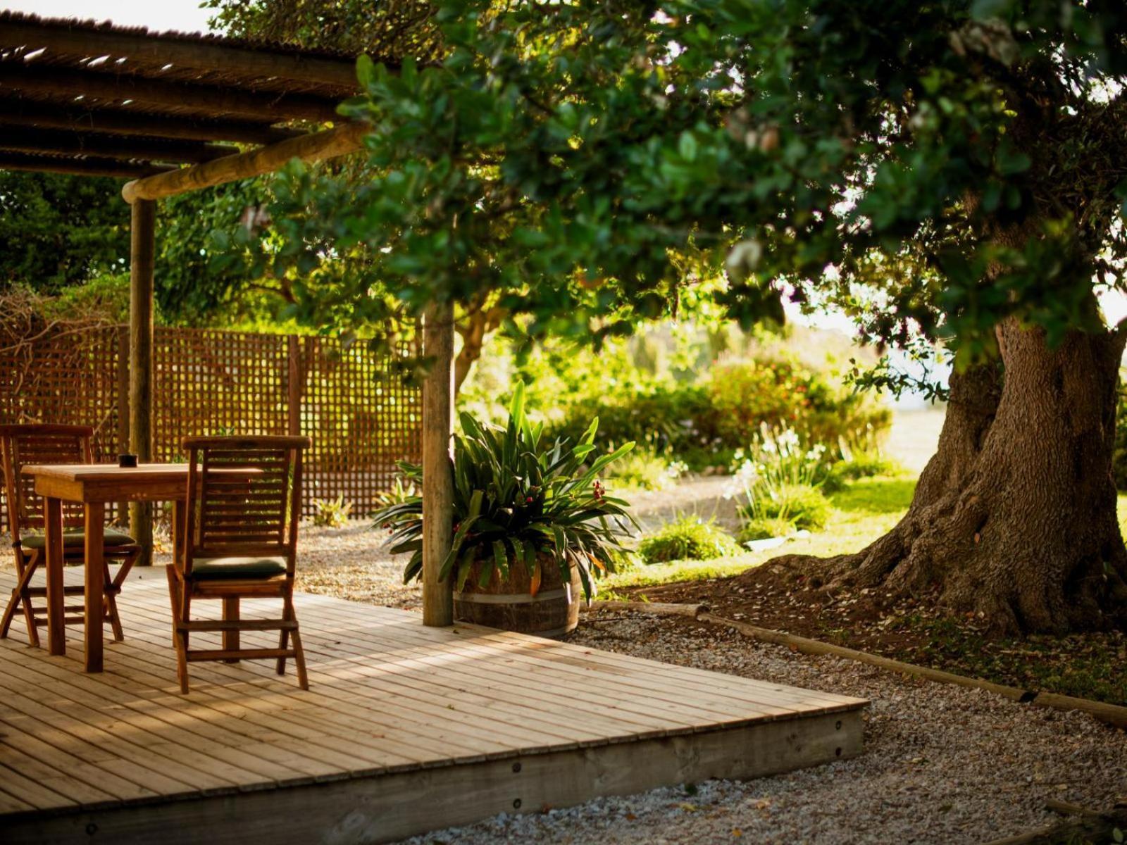 Springfontein Wine Estate Hotel Stanford Luaran gambar