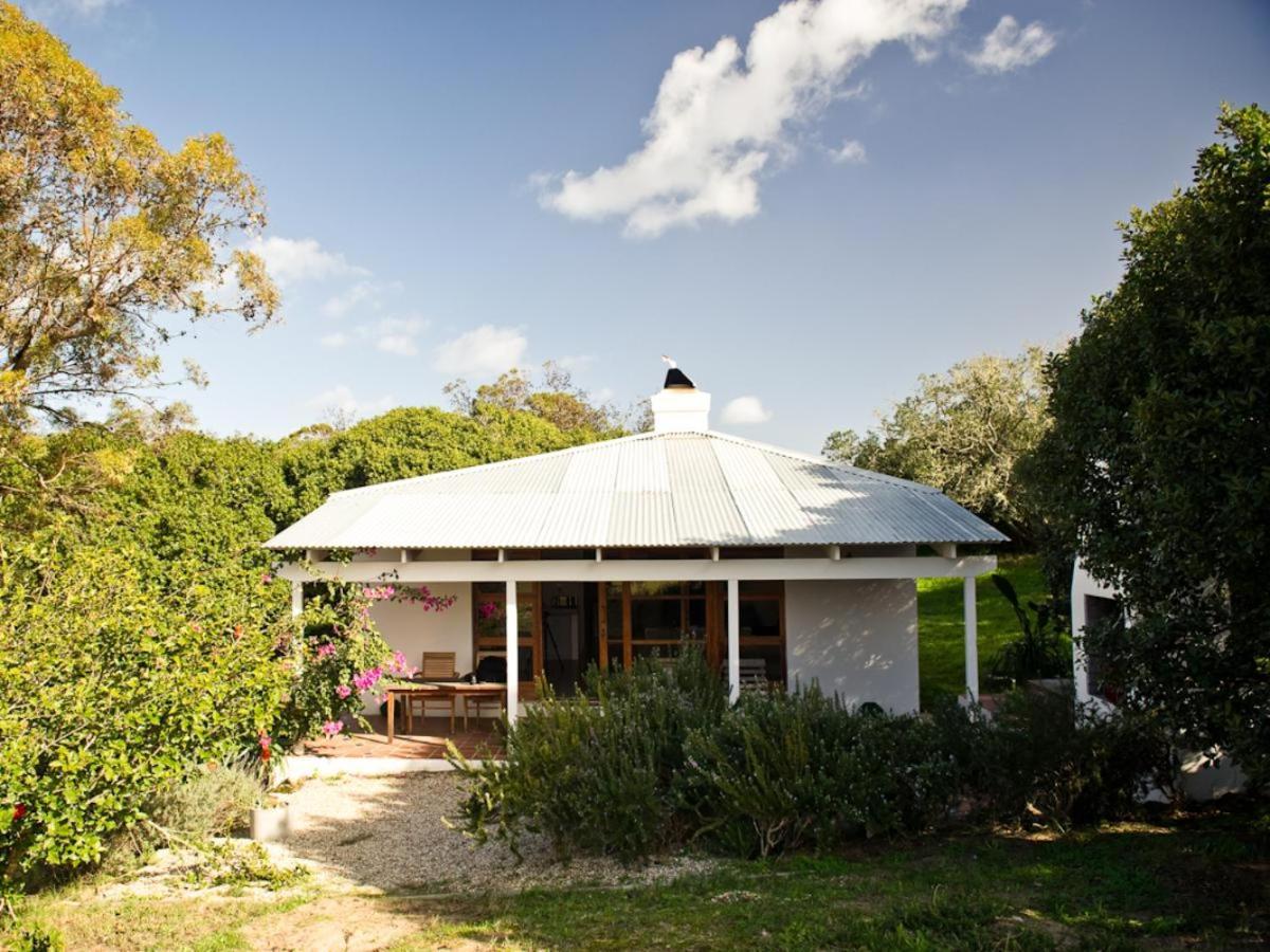 Springfontein Wine Estate Hotel Stanford Bilik gambar