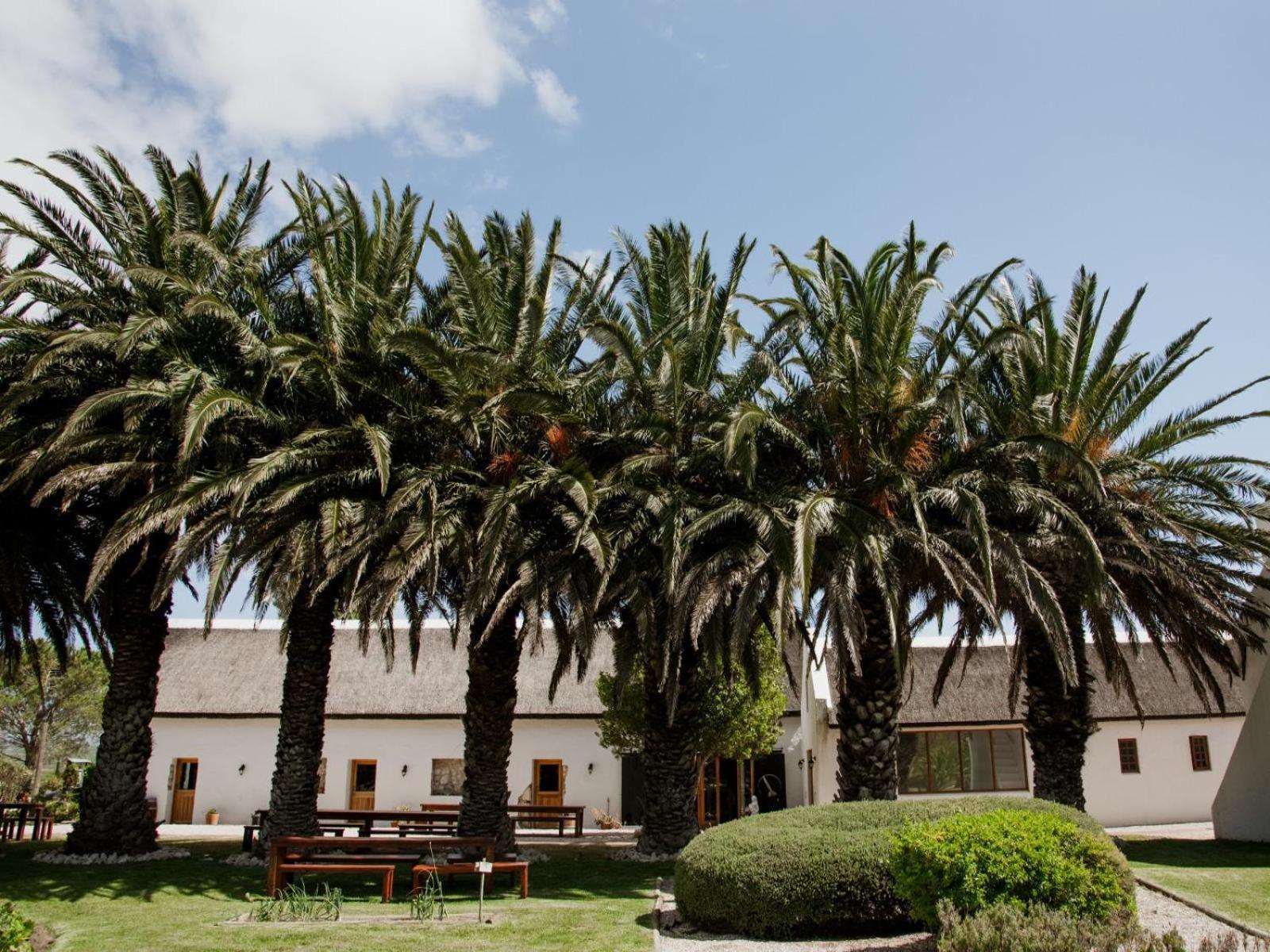 Springfontein Wine Estate Hotel Stanford Luaran gambar