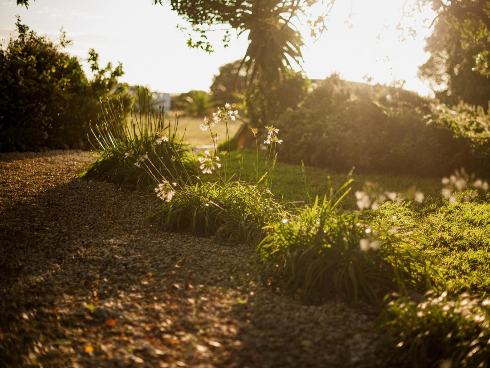 Springfontein Wine Estate Hotel Stanford Luaran gambar