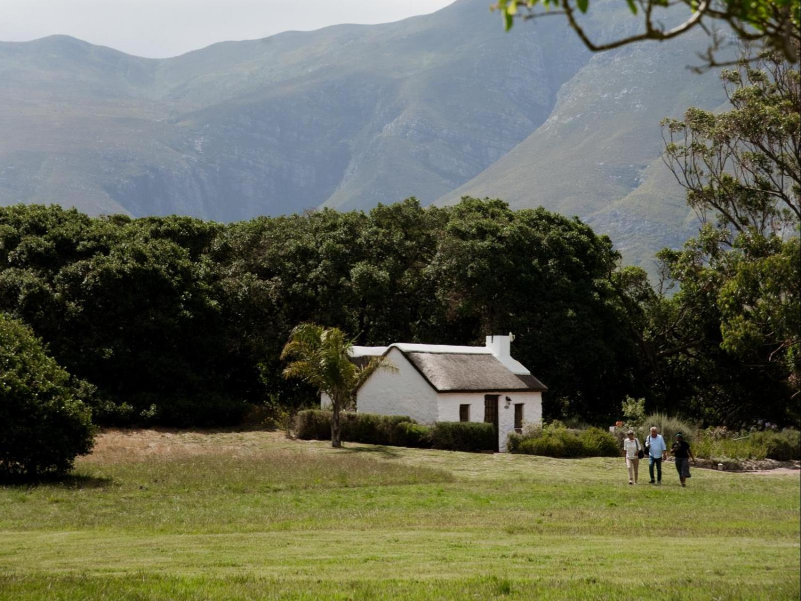 Springfontein Wine Estate Hotel Stanford Luaran gambar