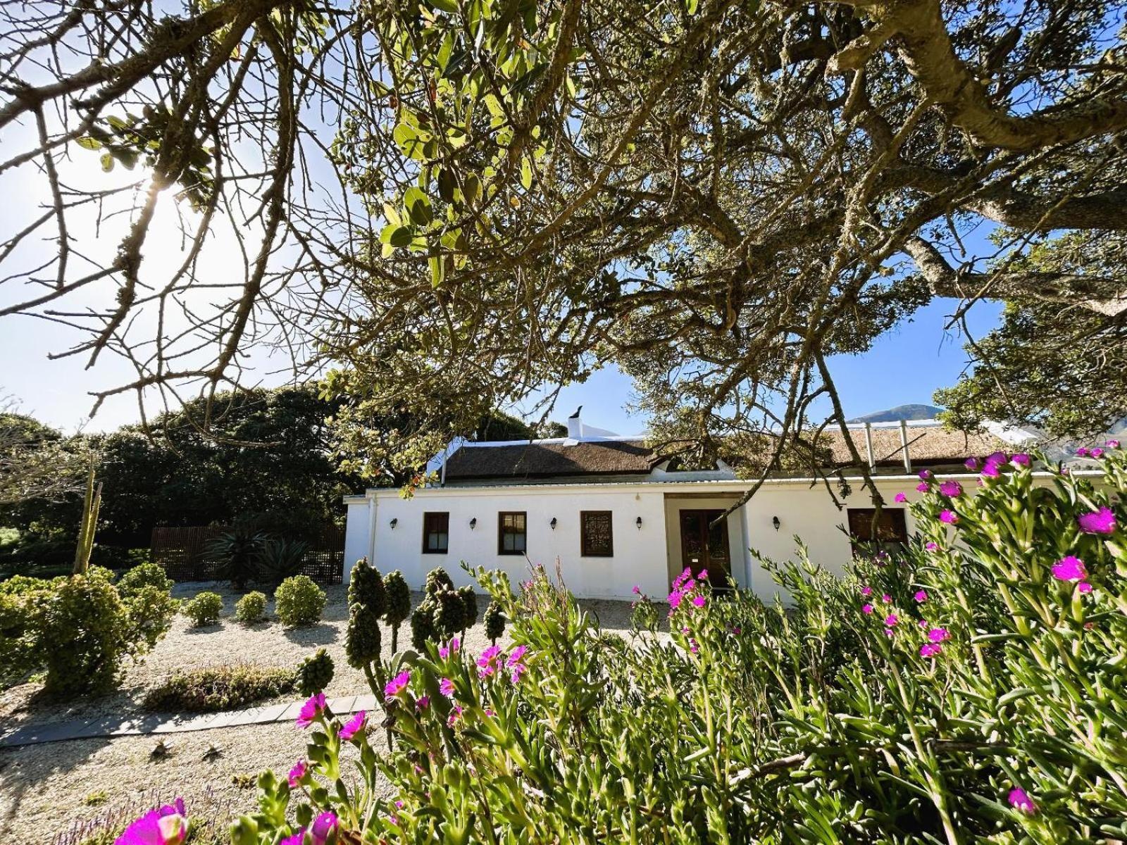 Springfontein Wine Estate Hotel Stanford Luaran gambar