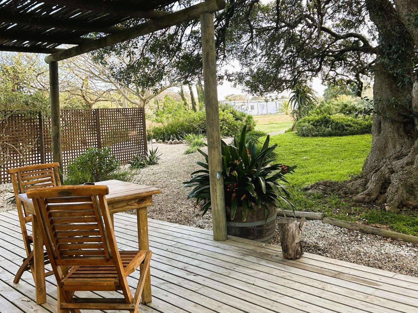 Springfontein Wine Estate Hotel Stanford Bilik gambar